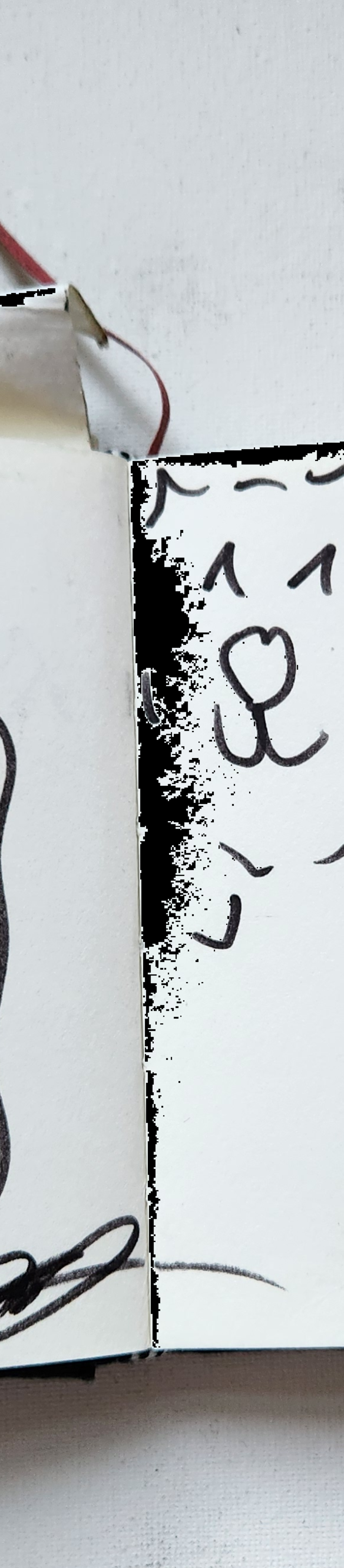 Handgezeichnete Katze Wuschelbär