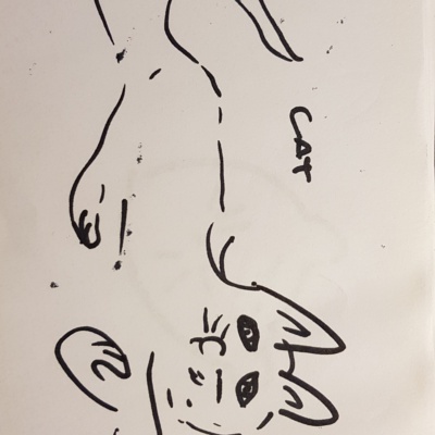 Unbenannte Katzenzeichnung
