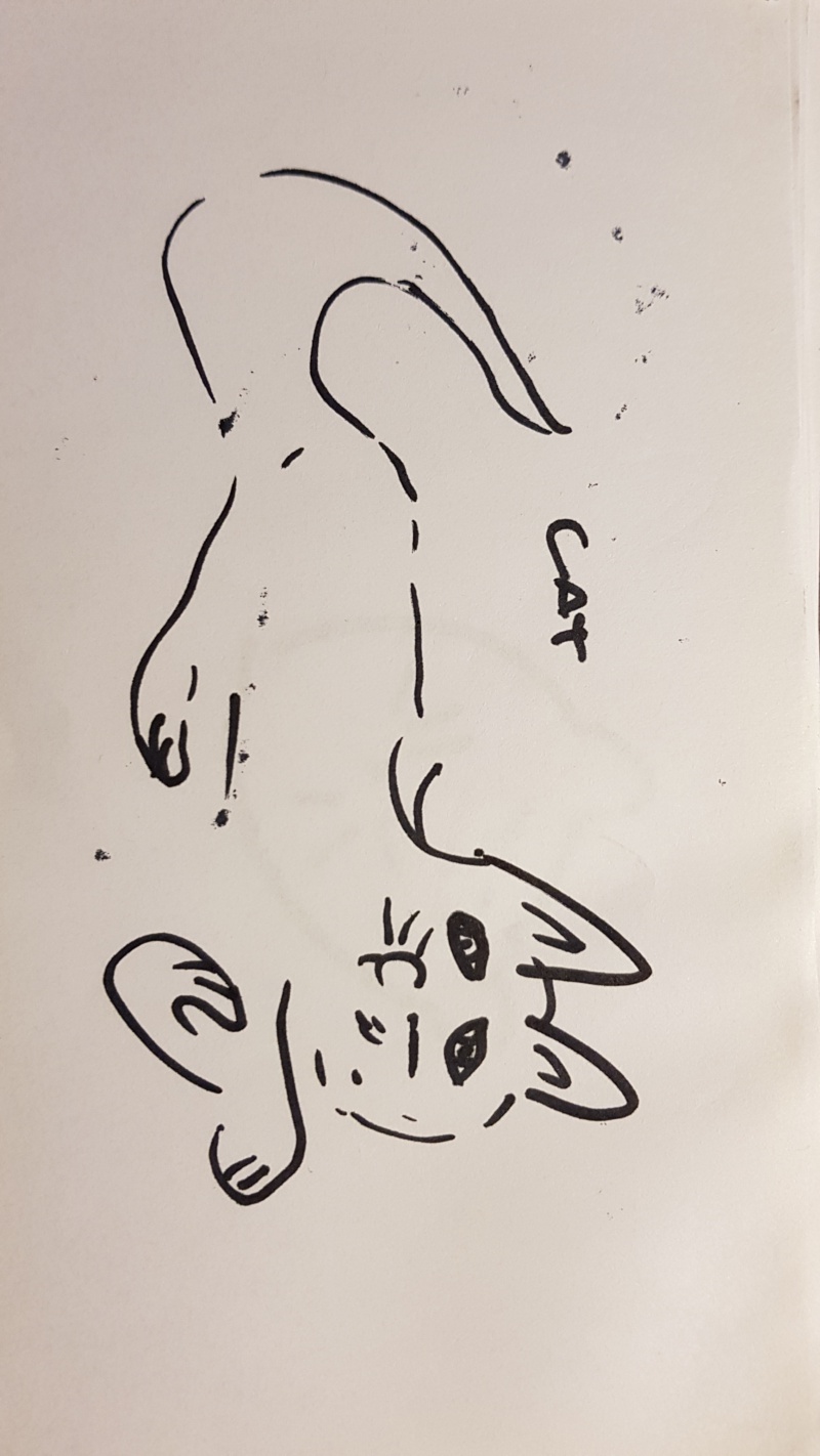 Handgezeichnete Katze Unbenannt