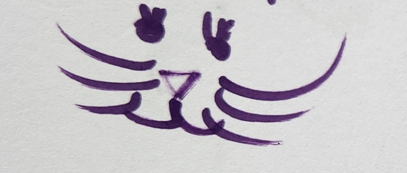 Handgezeichnete Katze Schnurrwuschel