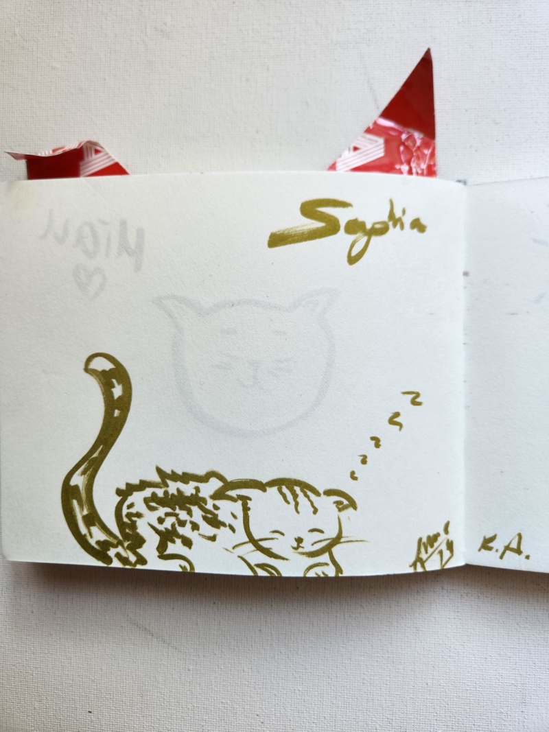 Handgezeichnete Katze Unbenannt