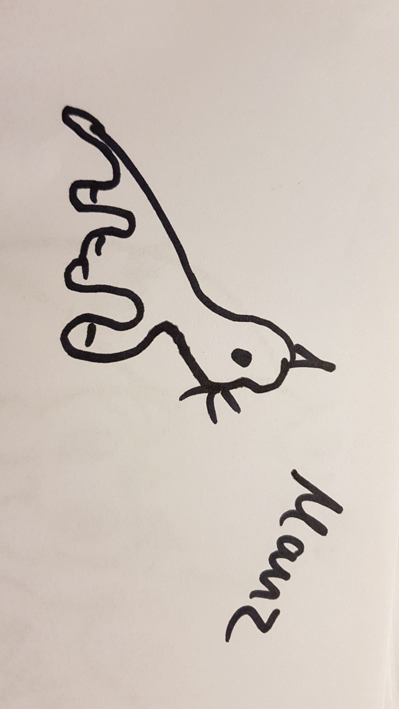 Handgezeichnete Katze Unbenannt