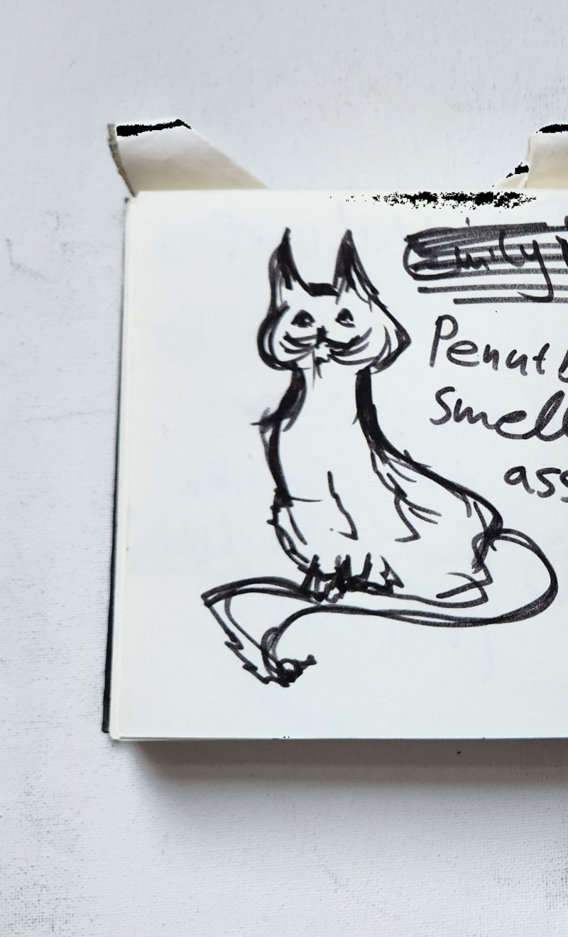 Handgezeichnete Katze Schnurzwickel