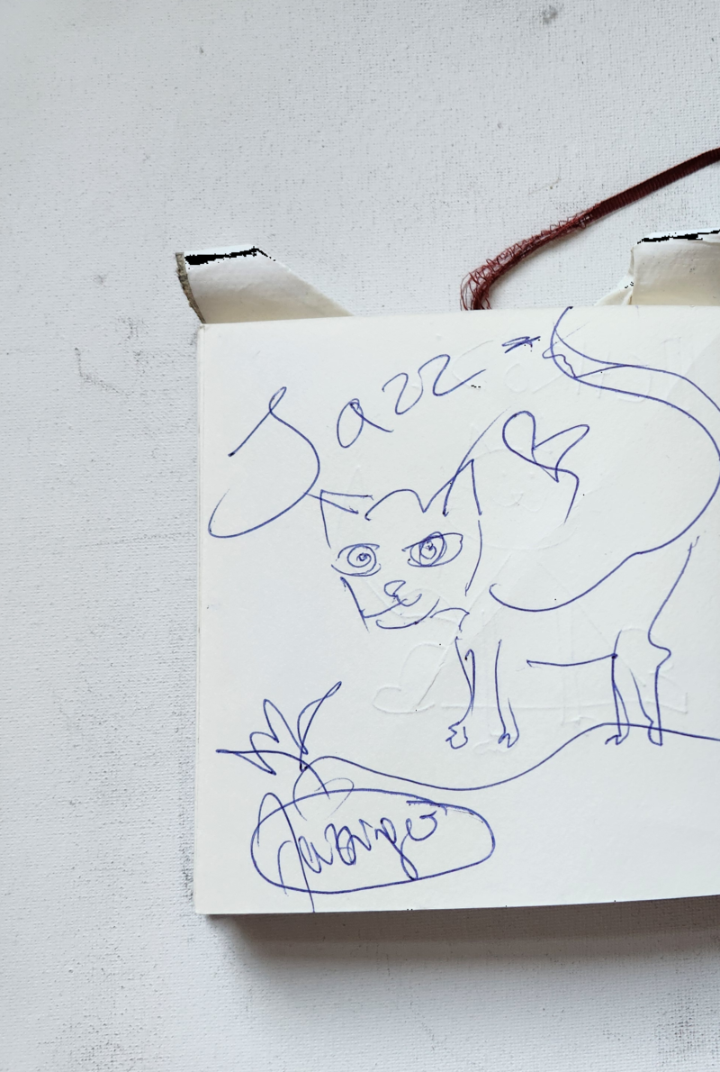 Handgezeichnete Katze Jazz