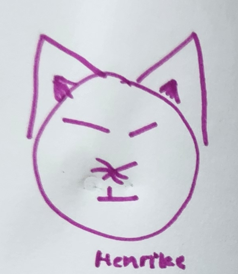 Handgezeichnete Katze Henrike