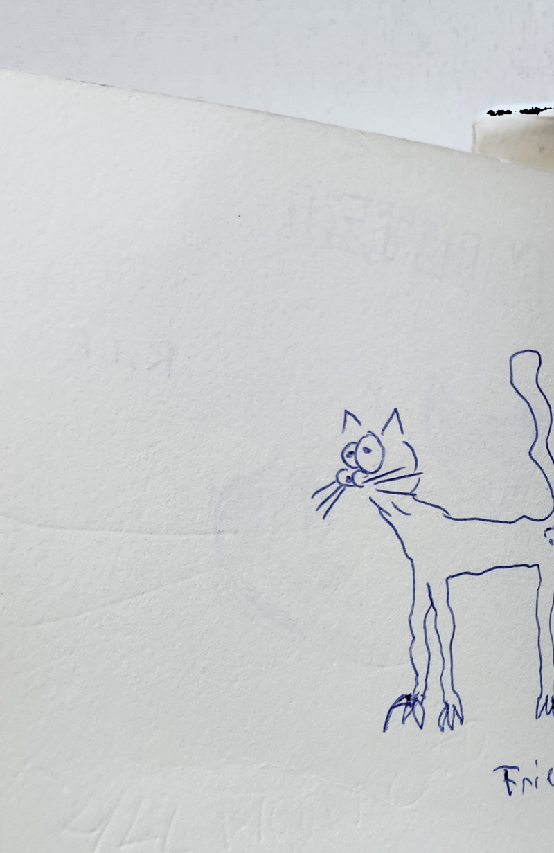 Handgezeichnete Katze Fric