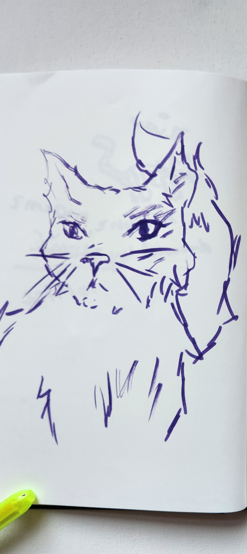 Handgezeichnete Katze Nachtgesicht