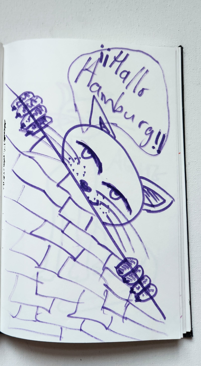 Handgezeichnete Katze Burgschlitten
