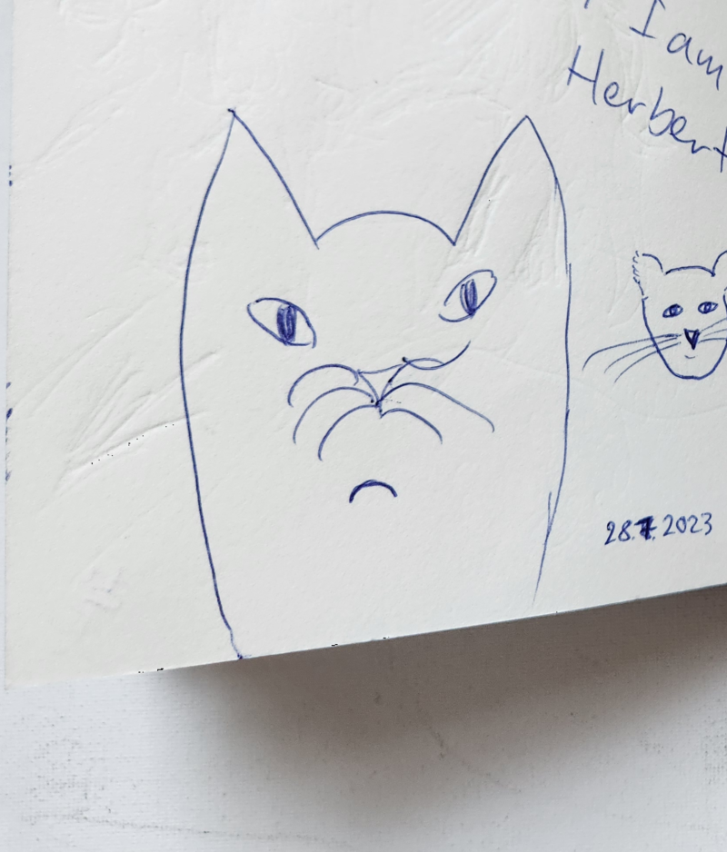 Handgezeichnete Katze Herbert