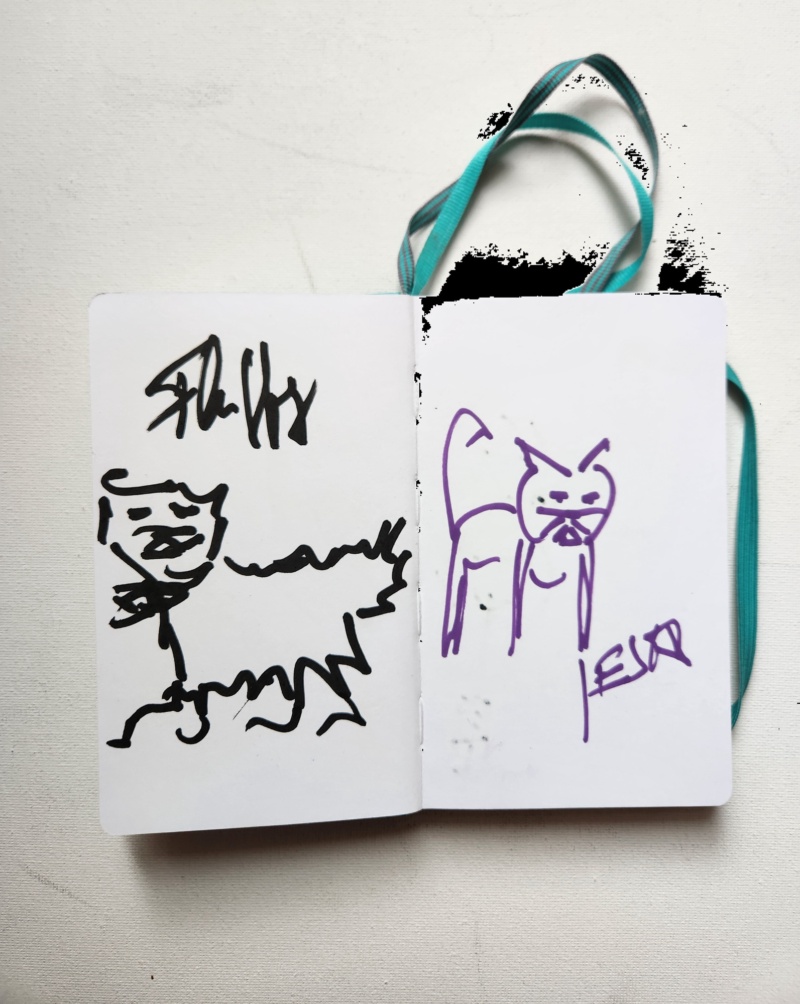 Handgezeichnete Katze Zoffzacken