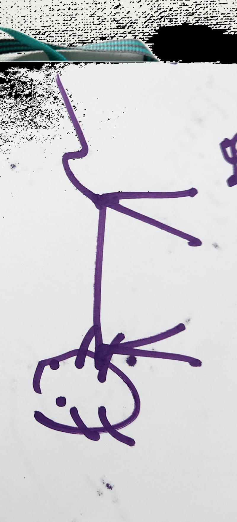Handgezeichnete Katze Wackelbart