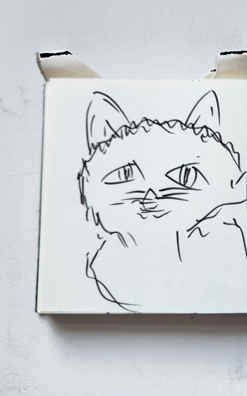 Handgezeichnete Katze Wuschelohr