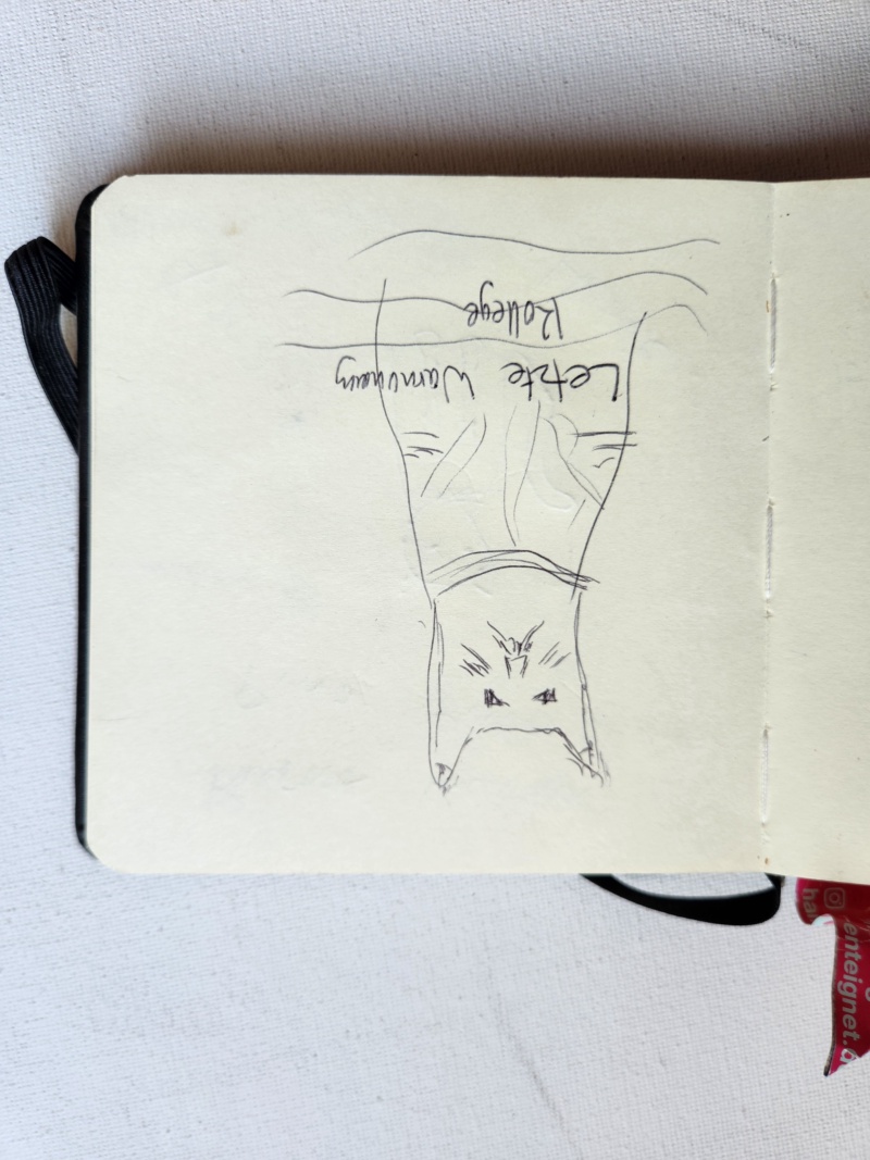 Handgezeichnete Katze Unbenannt