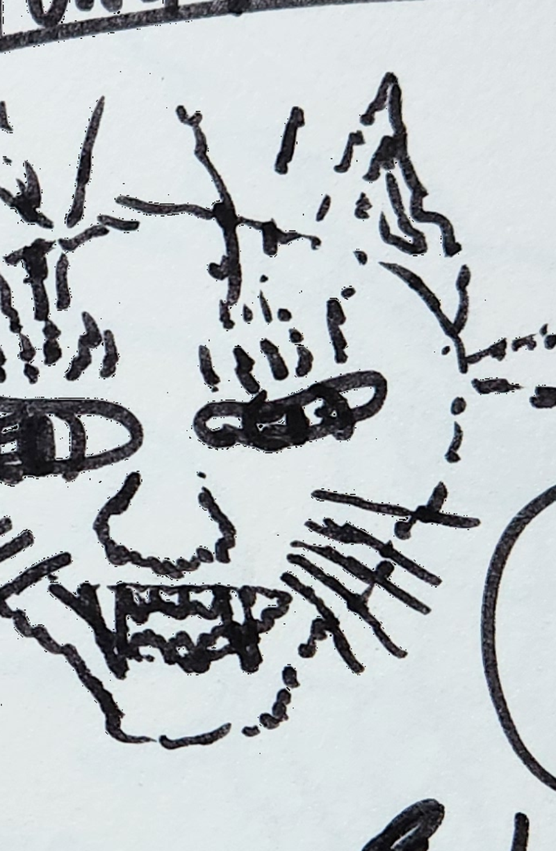 Handgezeichnete Katze Zack