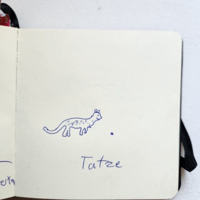 Unbenannte Katzenzeichnung
