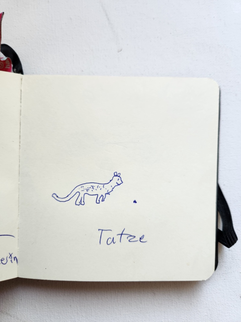 Handgezeichnete Katze Unbenannt
