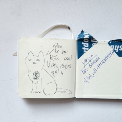 Unbenannte Katzenzeichnung