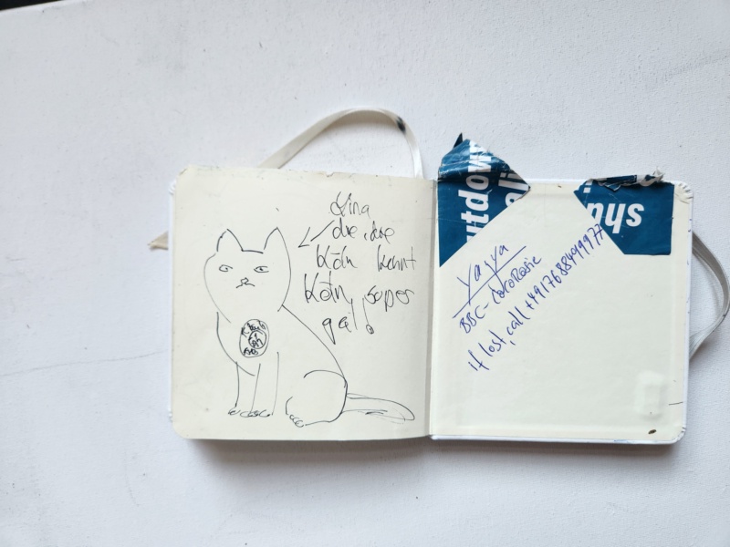 Handgezeichnete Katze Unbenannt