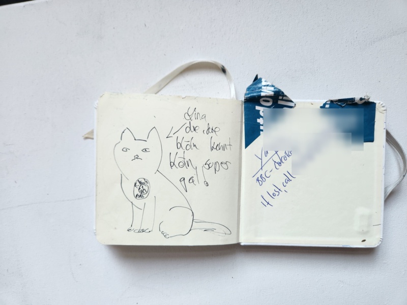 Handgezeichnete Katze Unbenannt