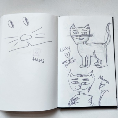 Unbenannte Katzenzeichnung