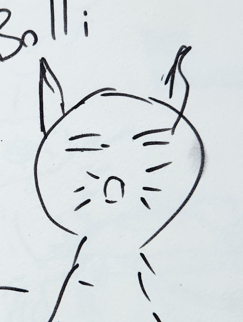Handgezeichnete Katze Belli