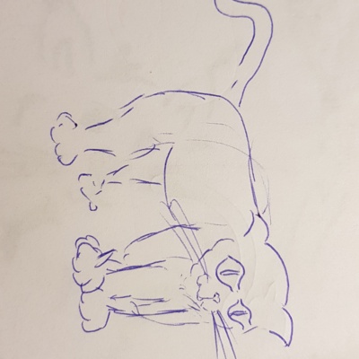 Unbenannte Katzenzeichnung