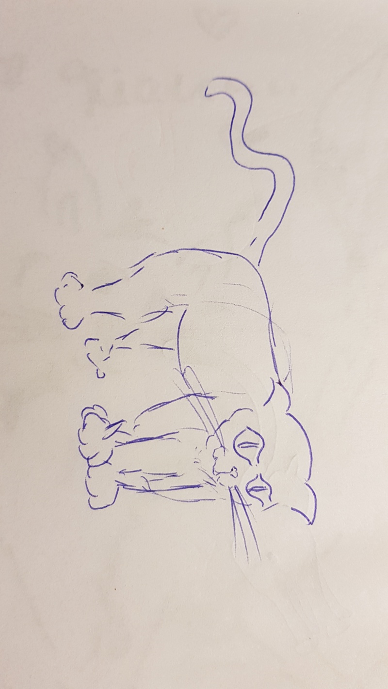 Handgezeichnete Katze Unbenannt