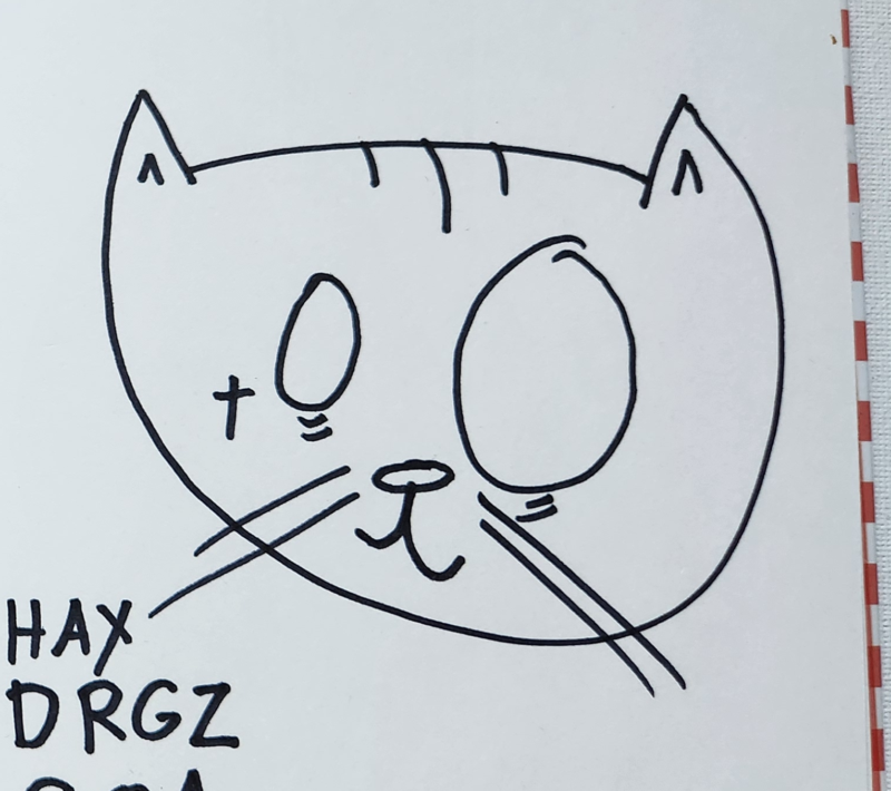 Handgezeichnete Katze Zwerchfellschnurr