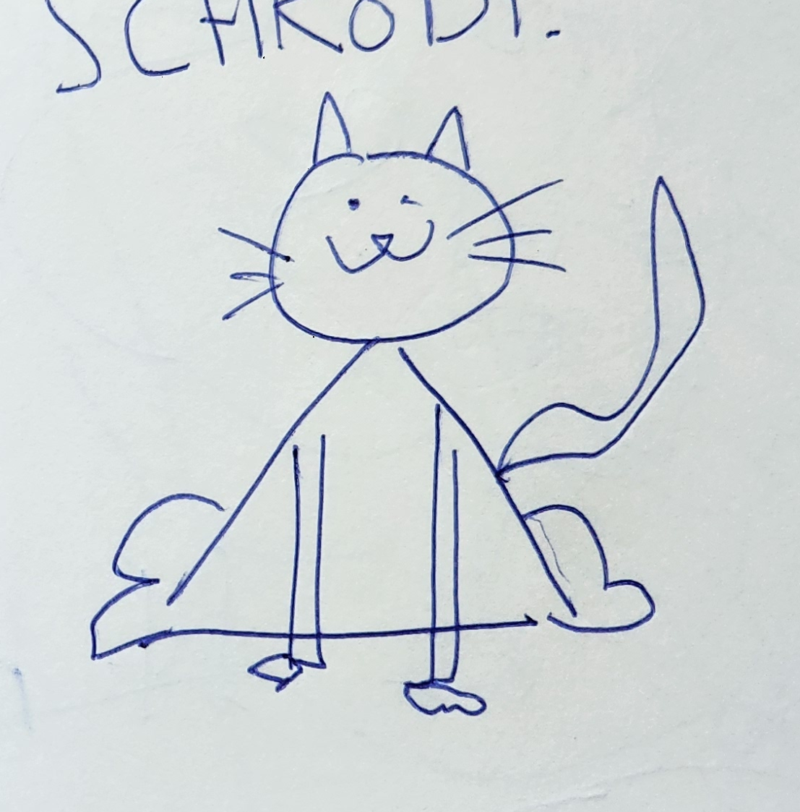 Handgezeichnete Katze SCHRODI