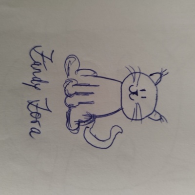 Unbenannte Katzenzeichnung