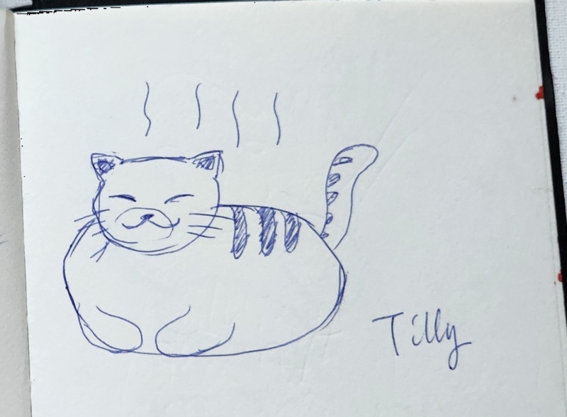 Handgezeichnete Katze Tilly