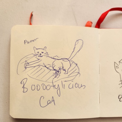 Unbenannte Katzenzeichnung