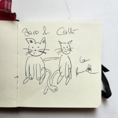 Unbenannte Katzenzeichnung