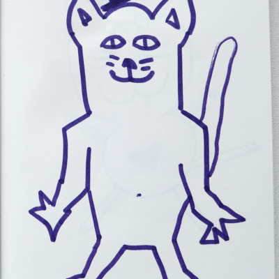 the cat