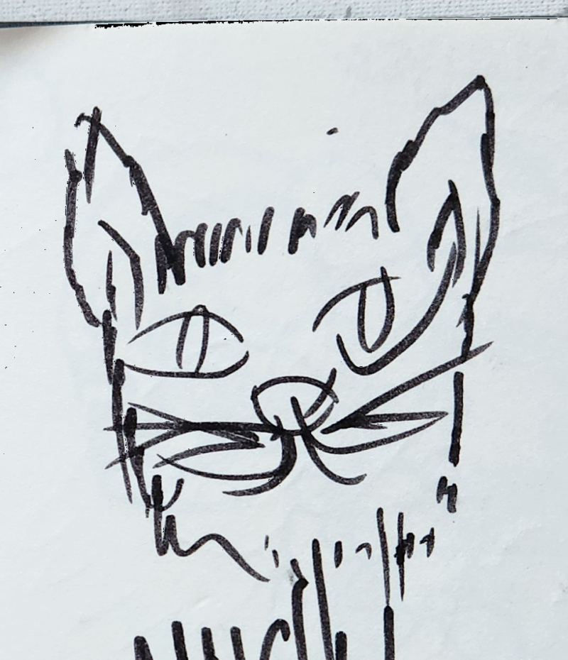 Handgezeichnete Katze Wuschelmaus