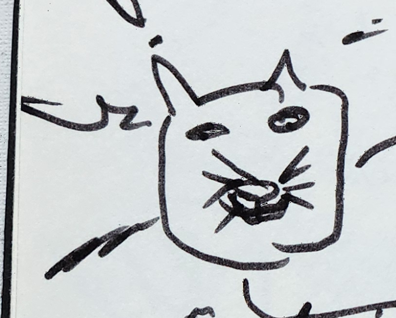 Handgezeichnete Katze Wuschelbart