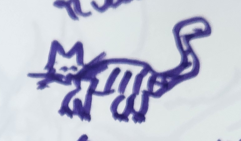 Handgezeichnete Katze Blaustift