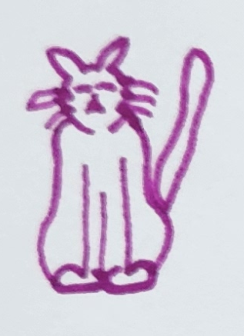 Handgezeichnete Katze Zickzack