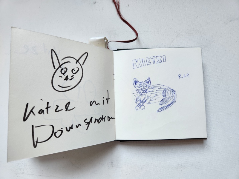 Handgezeichnete Katze Unbenannt