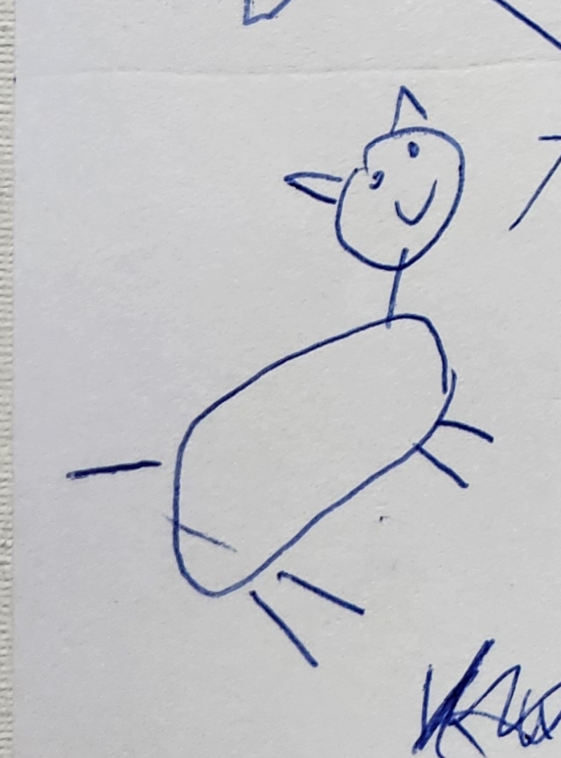 Handgezeichnete Katze Schnuddel