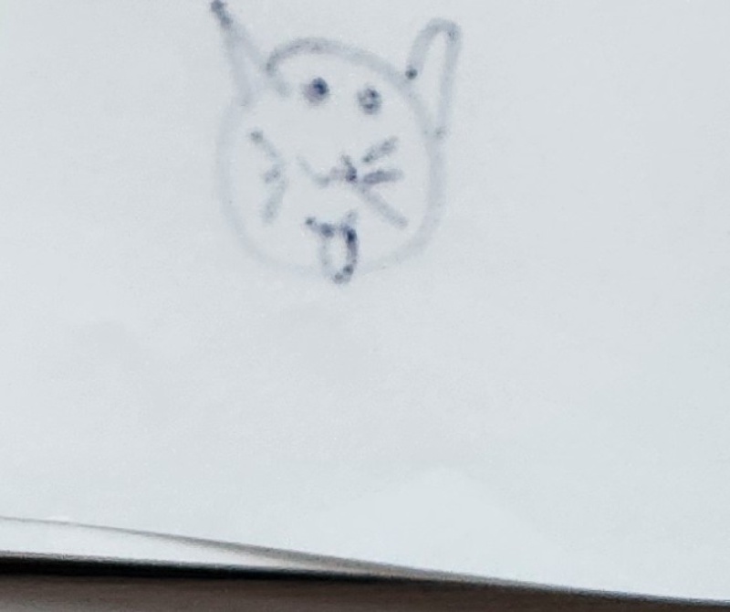 Handgezeichnete Katze Wuschelfritz