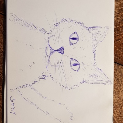 Unbenannte Katzenzeichnung