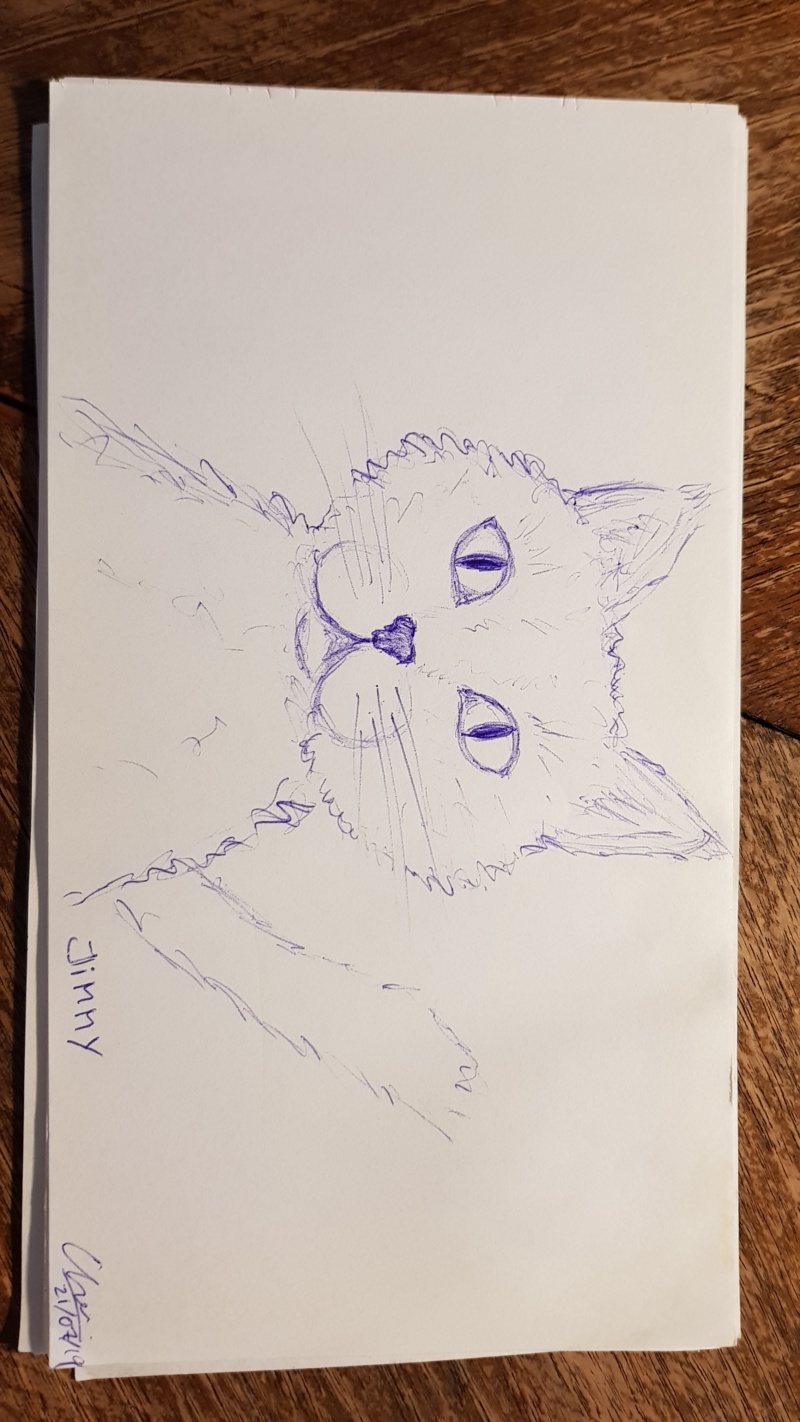 Handgezeichnete Katze Unbenannt