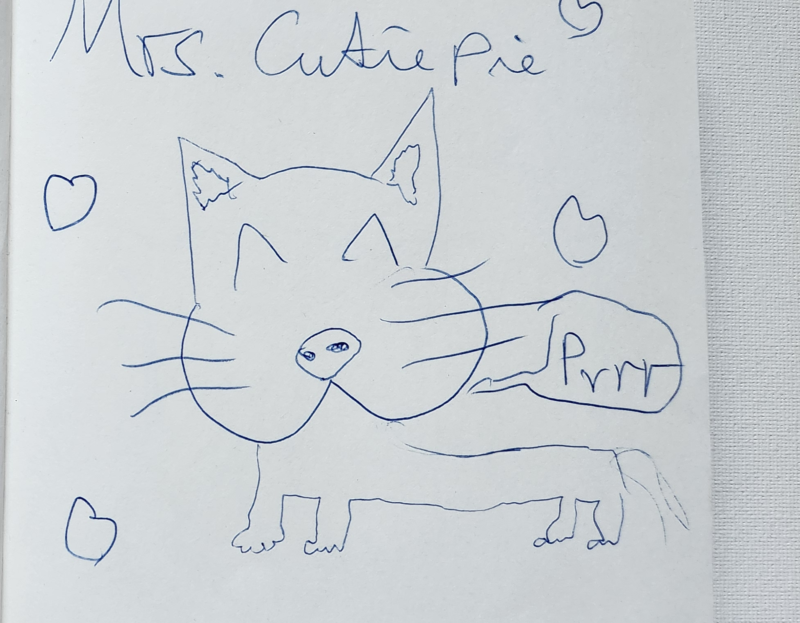 Handgezeichnete Katze Mrs. Cutie Pie