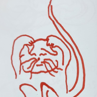 Wuschelohr
