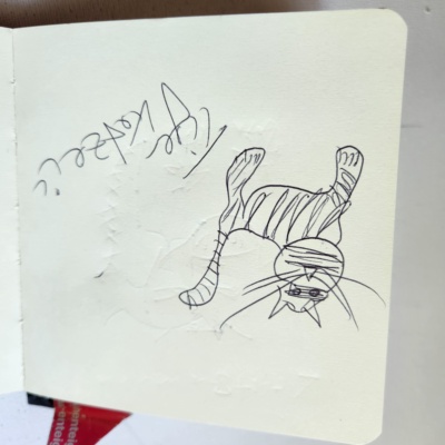 Unbenannte Katzenzeichnung