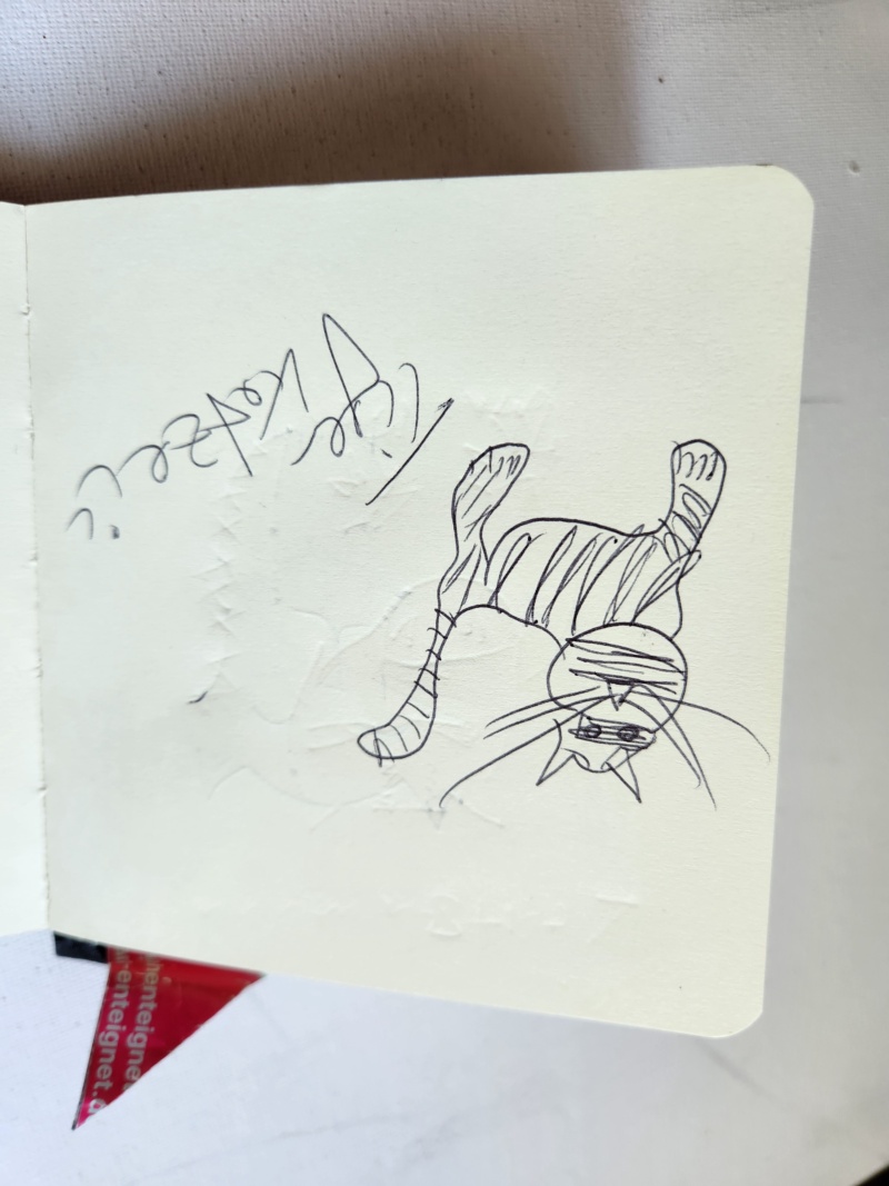 Handgezeichnete Katze Unbenannt