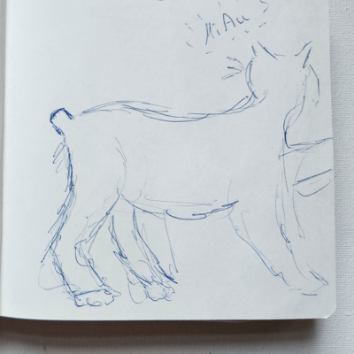 Miau