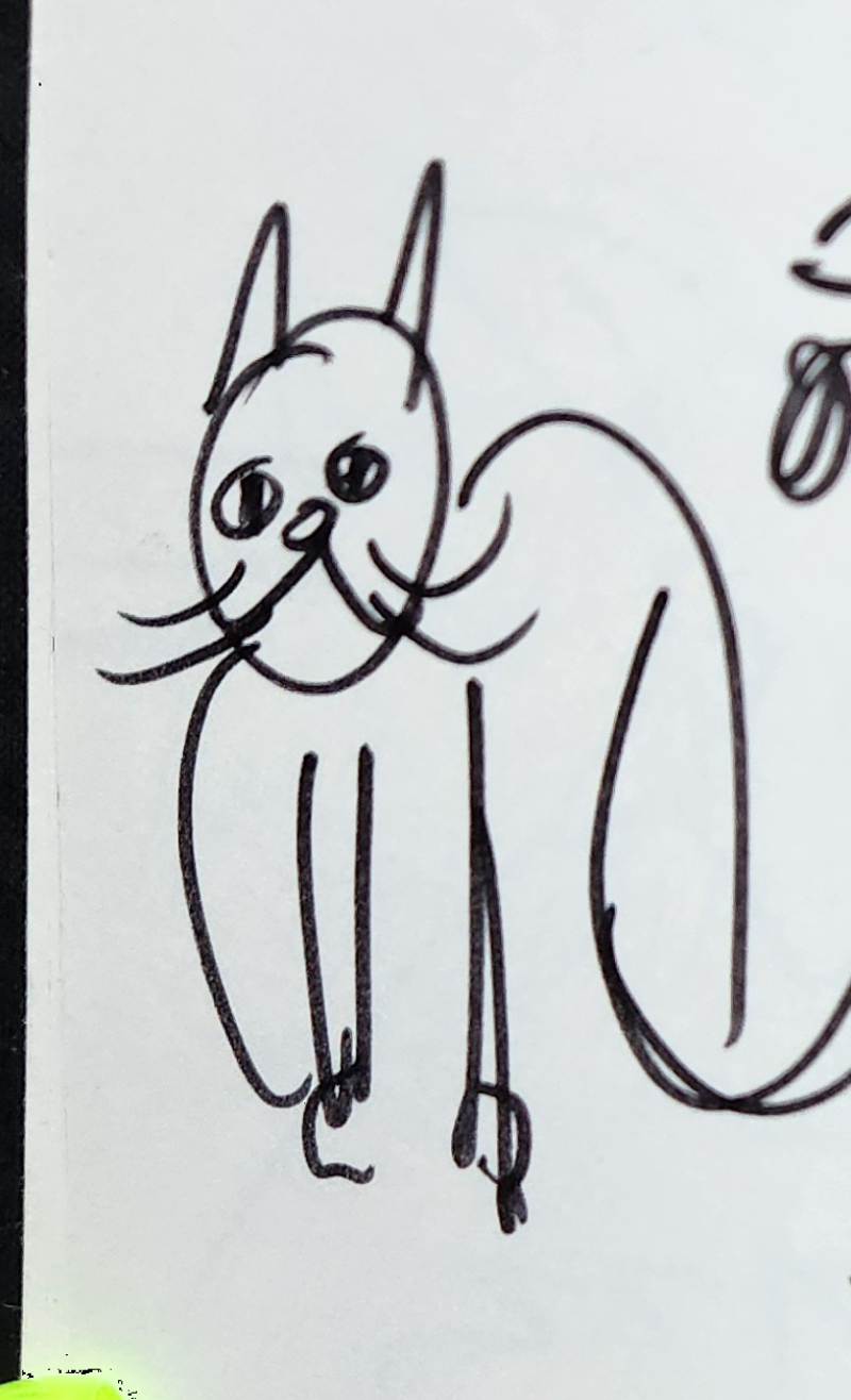 Handgezeichnete Katze Wuschelkralle