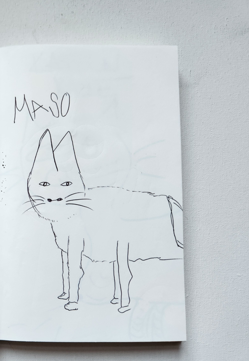 Handgezeichnete Katze MASO